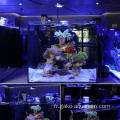 2022 NOUVEAU produit Lumière élégante d&#39;aquarium LED Coral LED